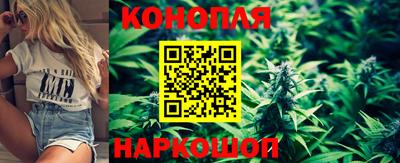 крисы Ирбит