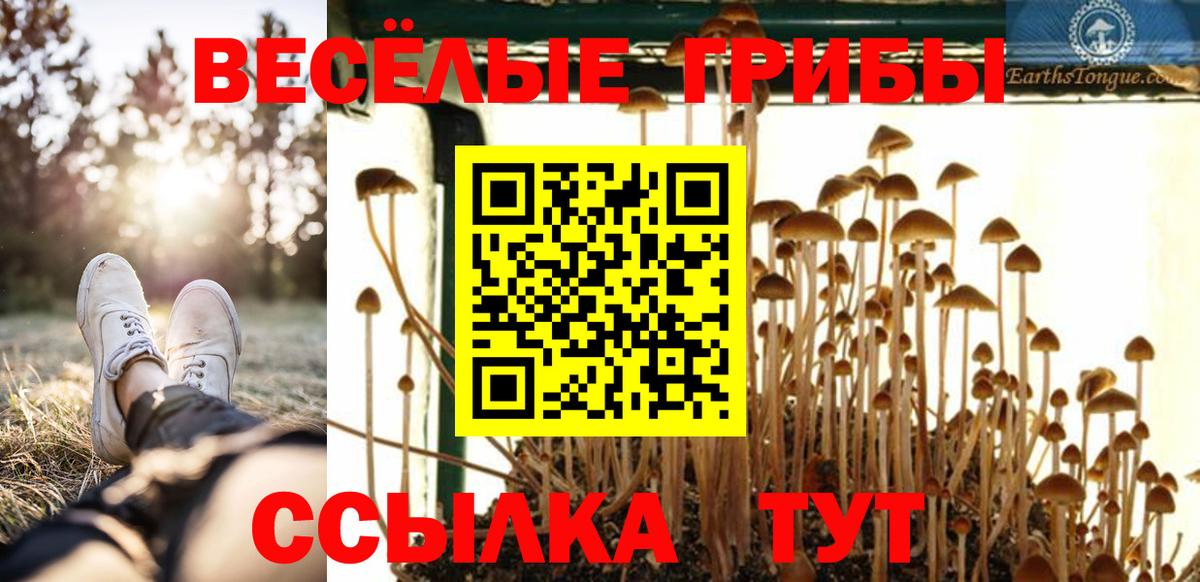 Галлюциногенные грибы прущие грибы  Вход с VPN  Псилоцибиновые грибы Magic Shrooms  Ликино-Дулёво 
